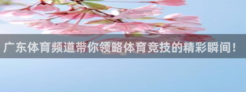 鲨鱼直播看篮球直播