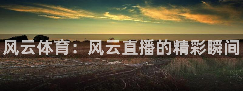 我想看鲨鱼直播