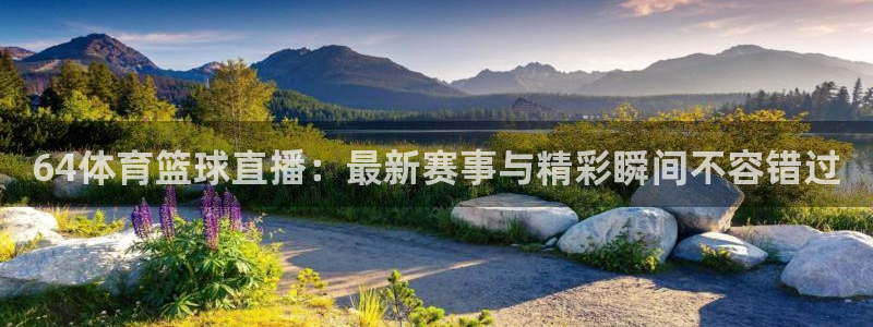 鲨鱼直播怎么注册