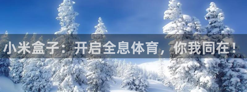 鲨鱼直播间哪个平台