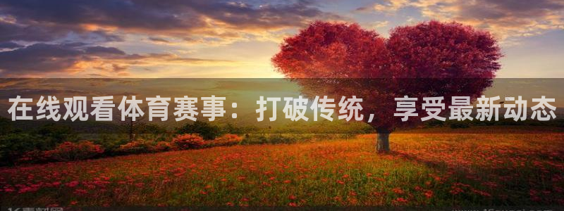 鲨鱼直播app安卓版