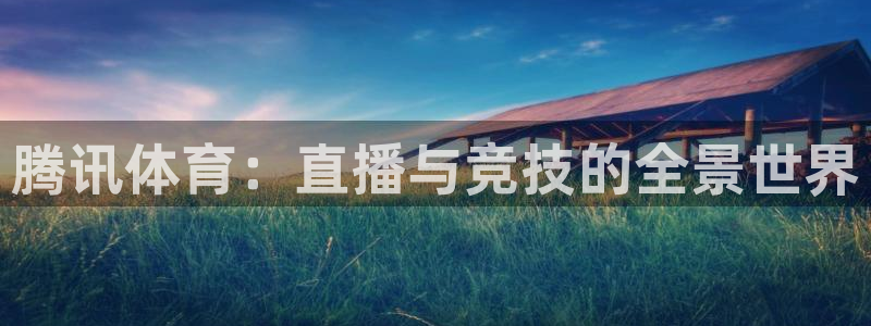 鲨鱼直播nba在线播放网站