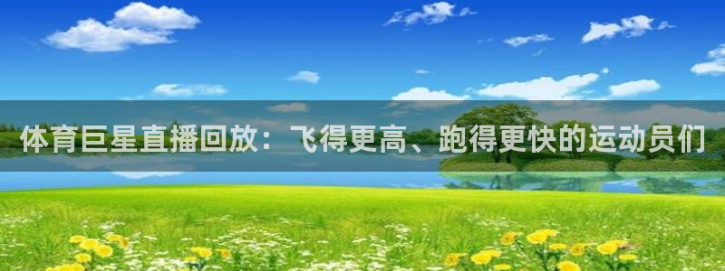 鲨鱼直播体育app