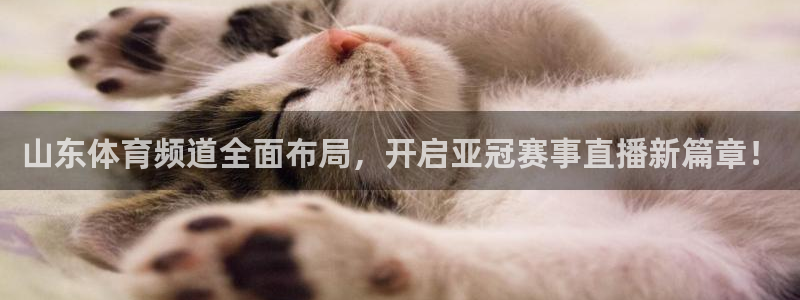 鲨鱼直播nba在线播放网站