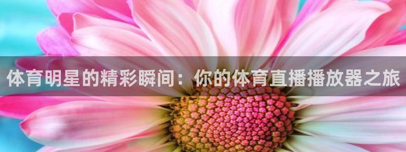 鲨鱼直播app安卓版